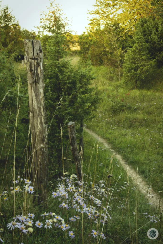 La réserve naturelle régionale des Coteaux du Chemin des Dames