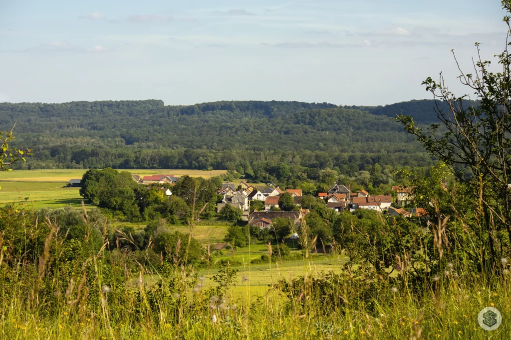 Chermizy-Ailles, coteaux du Chemin des Dames