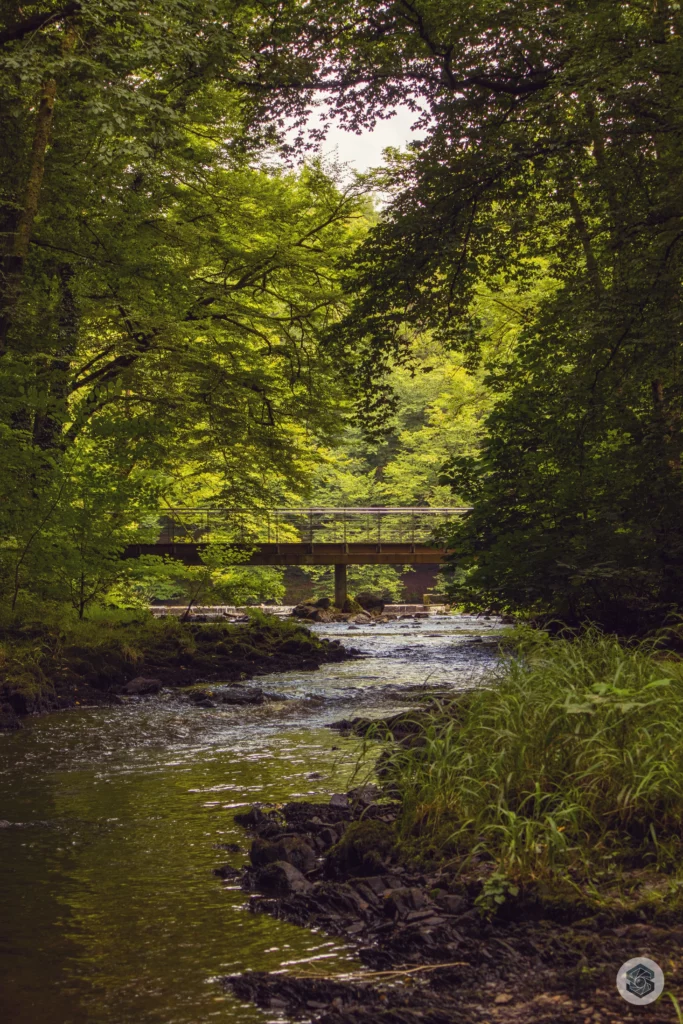 Rivière de Blangy, Hirson Aisne