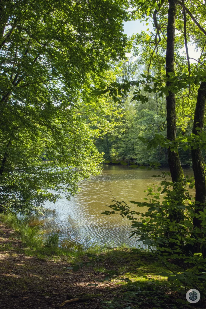balade le long de l'Oise dans les bois - Hirson - Cascade de Blangy