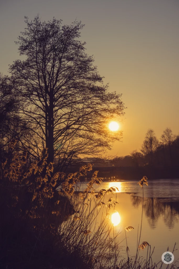 Coucher de soleil sur le lac de Chamouille depuis la Bièvres