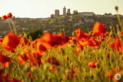 Vue sur la ville haute depuis les coquelicots
