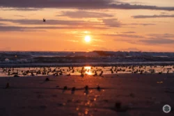 Coucher de soleil à Fort-Mahon