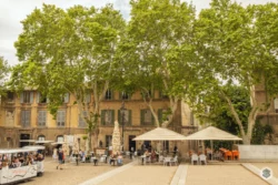 Avignon