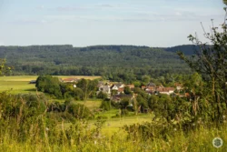 Chermizy-Ailles, coteaux du Chemin des Dames