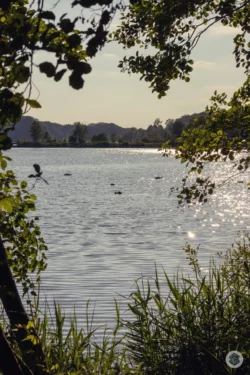 Lac de l'Ailette