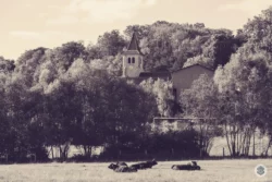 Neuville-sur-Ailette