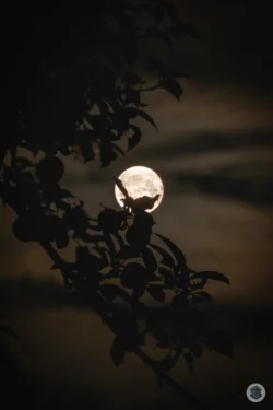 Ombre devant lune