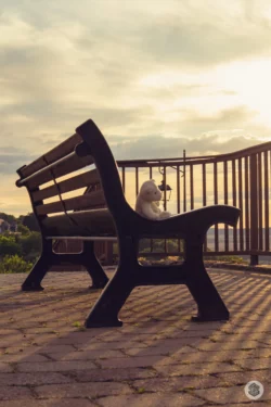 Banc public
