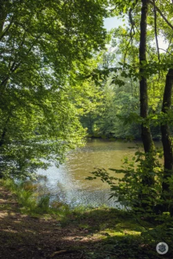 balade le long de l'Oise dans les bois - Hirson - Cascade de Blangy