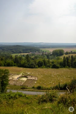 Vue sur les moutons dans l'Aisne