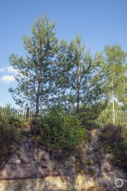 Réserve Naturelle Nationale des Landes de Versigny