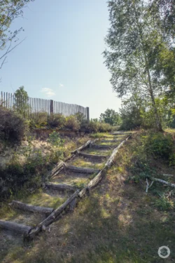 Réserve Naturelle Nationale des Landes de Versigny