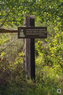 Réserve Naturelle Nationale des Landes de Versigny